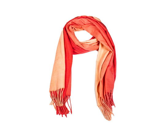 ‍Scarf 'Ombre' (100% off)
