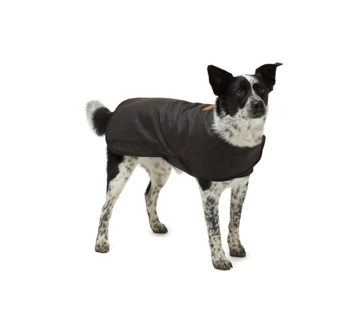 Dog Coat Woollen Lined Oilskin