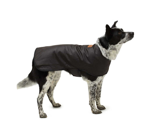 Dog Coat Woollen Lined Oilskin