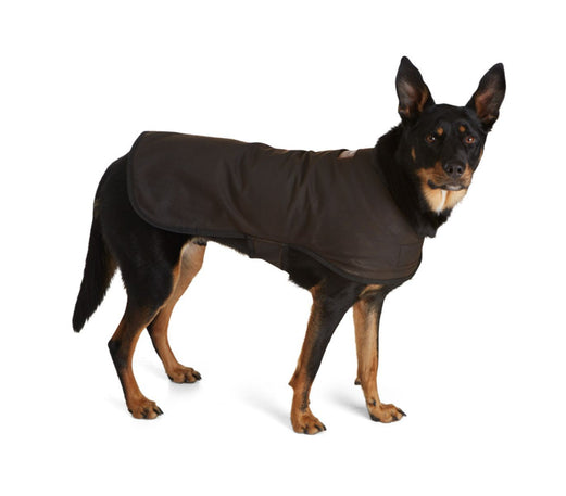 Doggie Oilskin Rain Coat