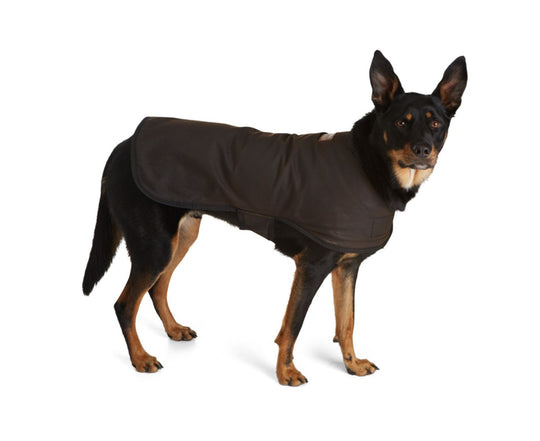 Doggie Oilskin Rain Coat